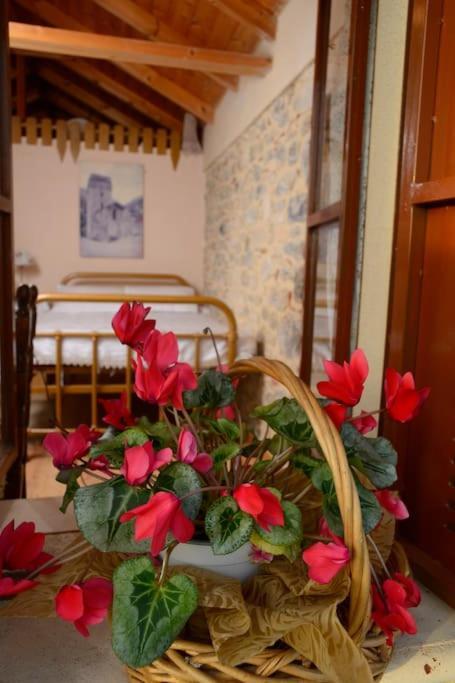 A Small Paradise In Mani With Local Hospitality Orovas エクステリア 写真