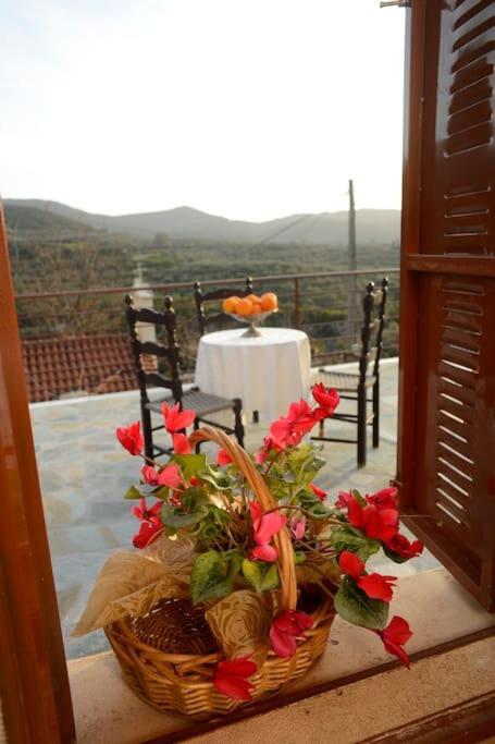 A Small Paradise In Mani With Local Hospitality Orovas エクステリア 写真