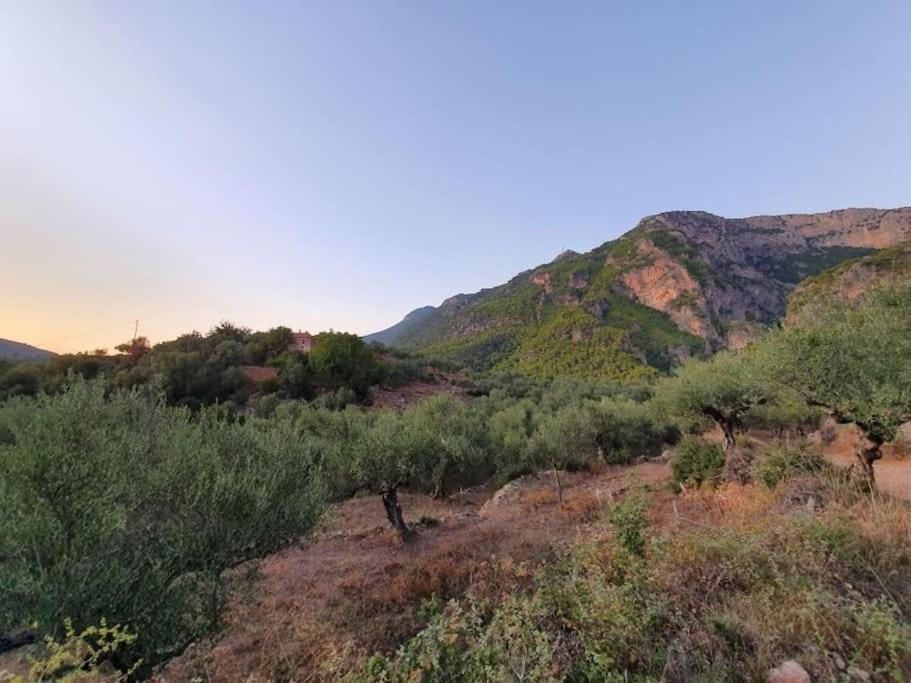 A Small Paradise In Mani With Local Hospitality Orovas エクステリア 写真