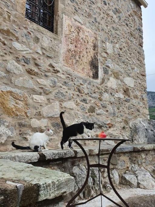 A Small Paradise In Mani With Local Hospitality Orovas エクステリア 写真